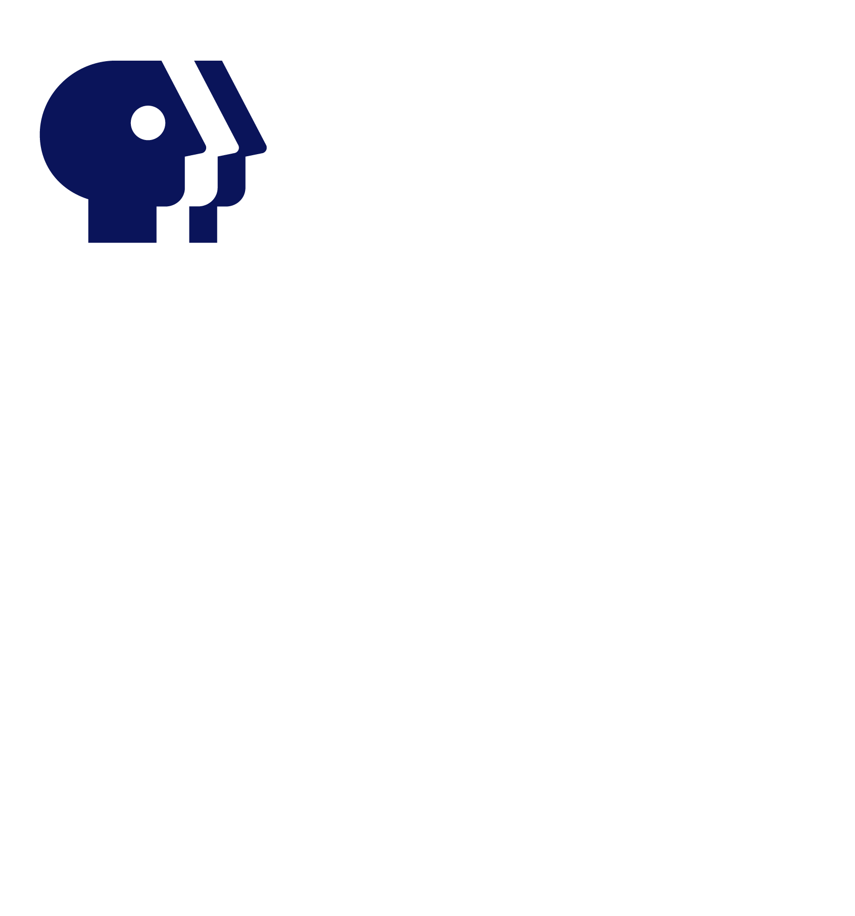 PBS News Hour Logo