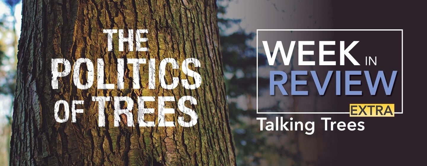 Tree with "Politics of Trees" and "Week in Review Extra: Talking Trees"