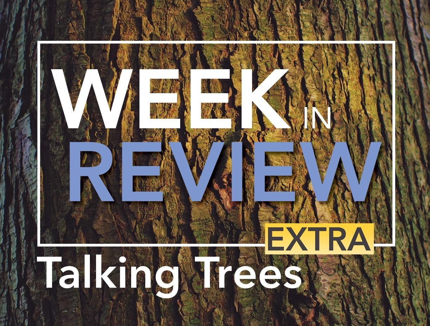"Week in Review Extra: Talking Trees" on background of tree bark