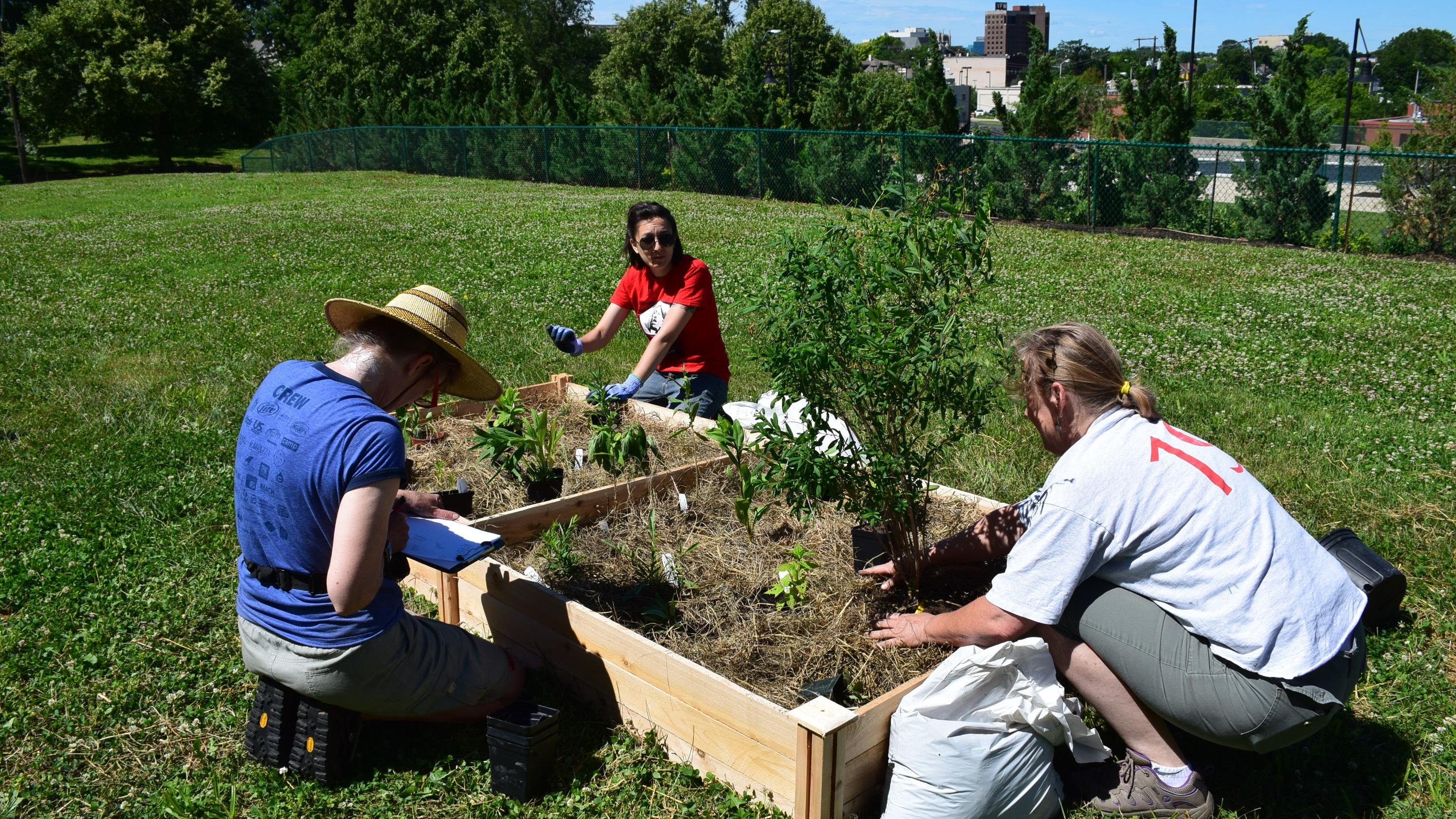 Volunteers planting in the raised beds at KCPT.