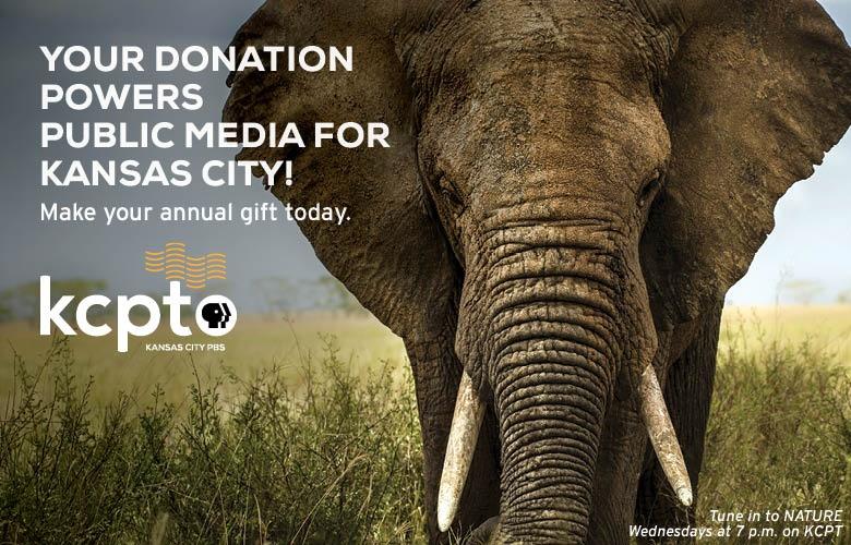 Make an Annual Gift Support Kansas City PBS
