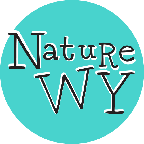 Nature WY