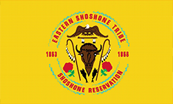Eastern Shoshone Tribe Flag