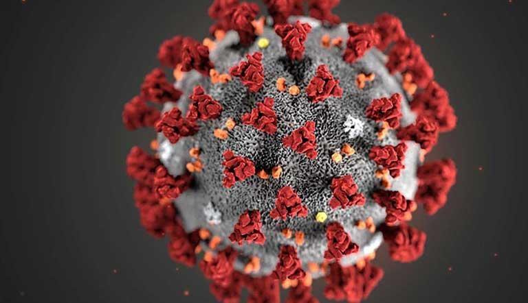 Coronavirus: What You Should Know