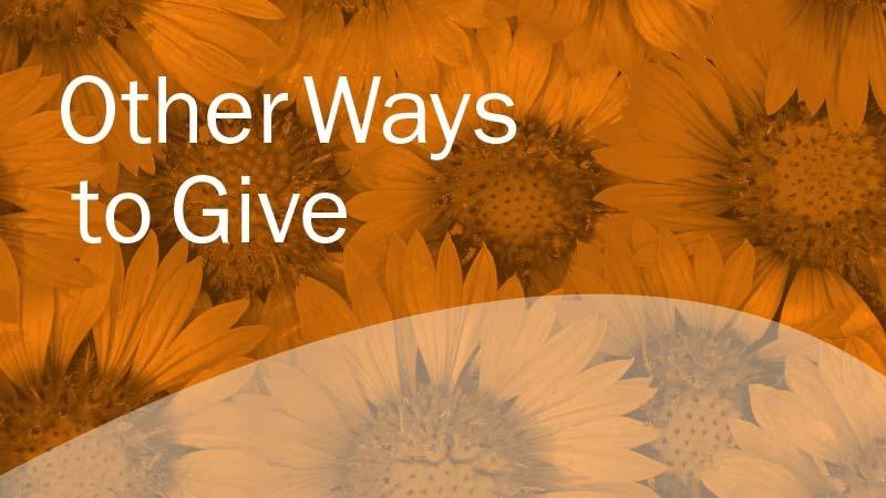 Other Ways to Give