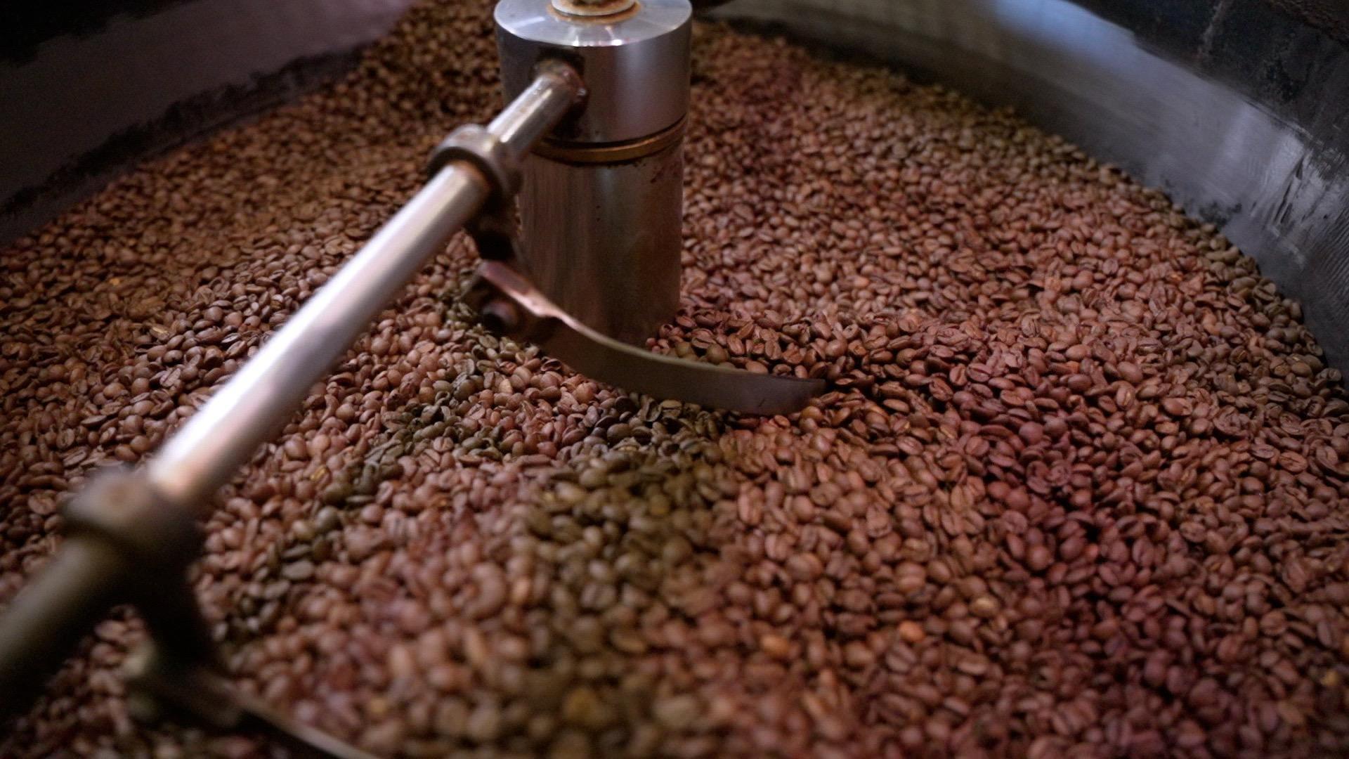 A close-up of coffee beans in various stages of roasting — ranging from pale green to light brown — being stirred by a metal agitator arm inside a large commercial coffee roaster.