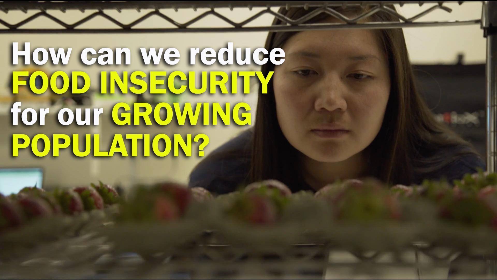 How can we reduce food insecurity or our growing population?