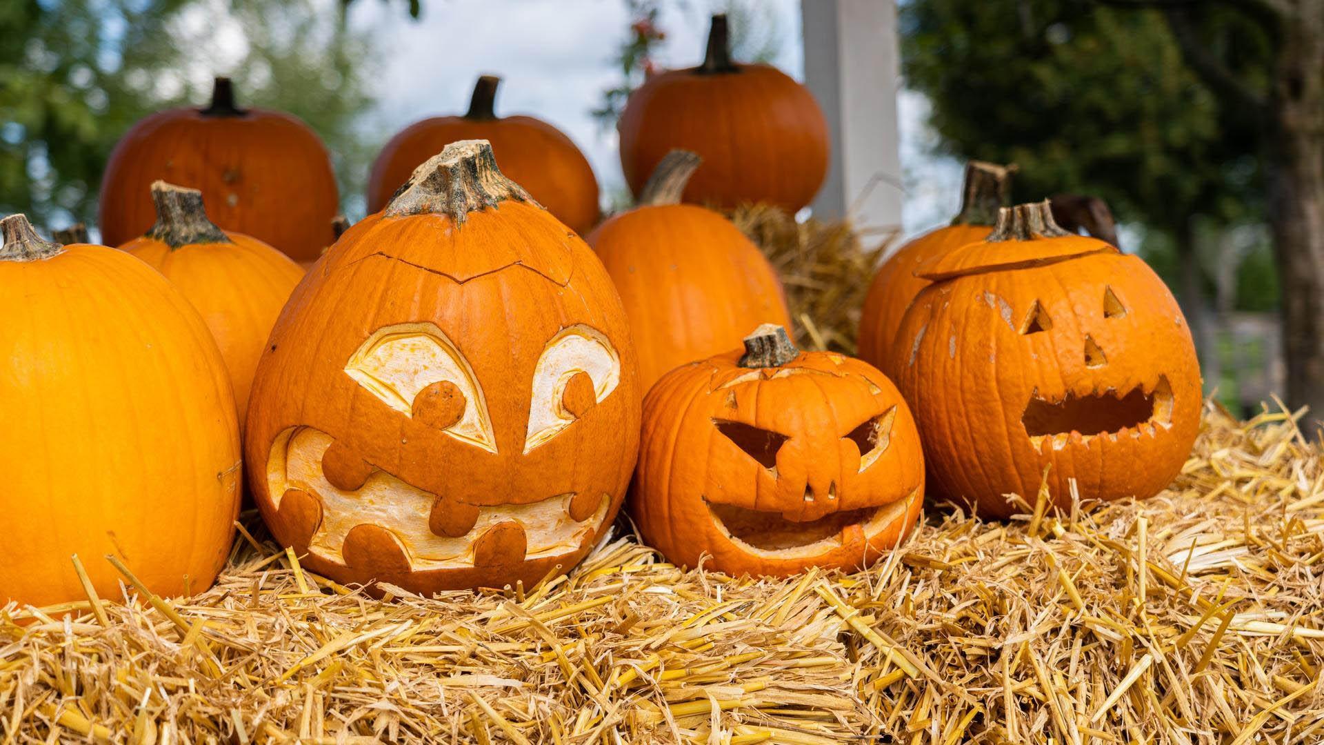 carved pumpkins on a bale of hay