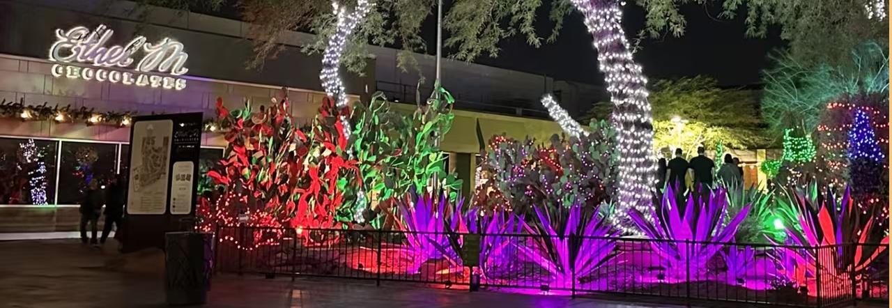 Ethel M Chocolates cactus garden lit up for the holidays