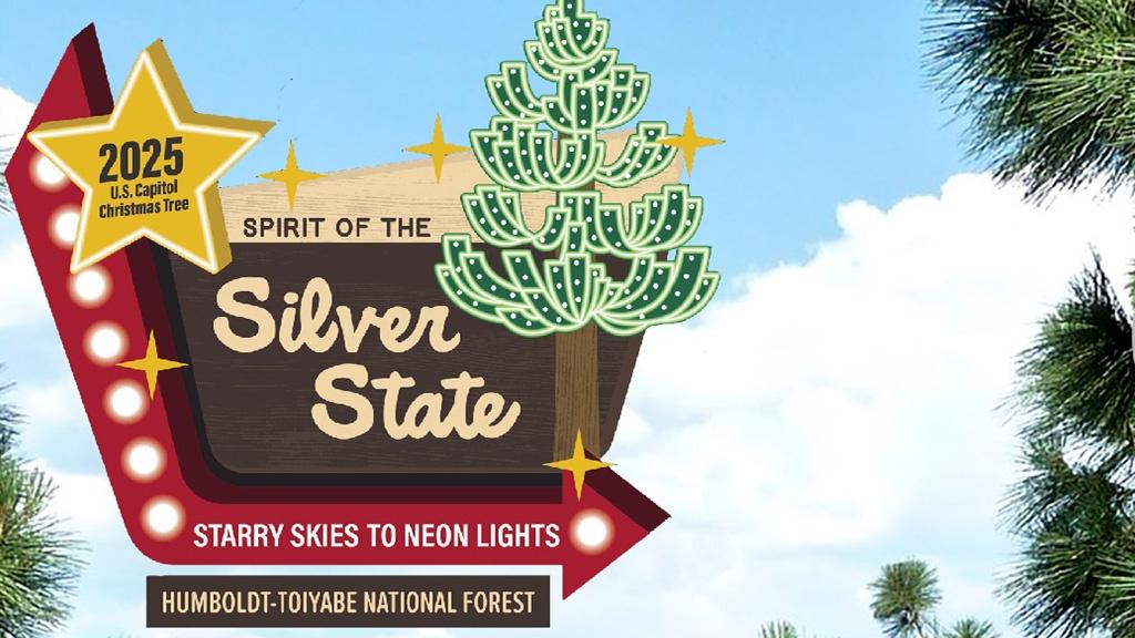 2025 U.S. Capitol Christmas Tree Spirit of the Silver State Starry Skies to Neon Lights Humboldt-Toiyabe National Forest
