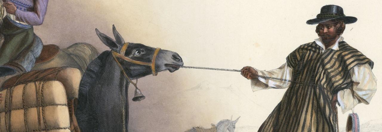 A painting of a man wearing a hat and a striped ruana pulling a black pack mule by a rein