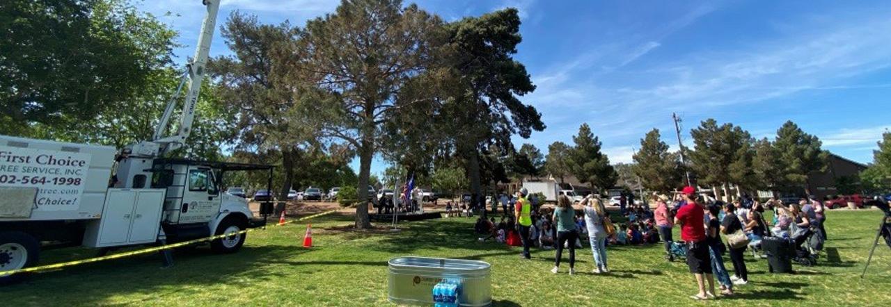 A crowd of people stand on the left facing a large tree outdoors, with a tree service truck parked on the right