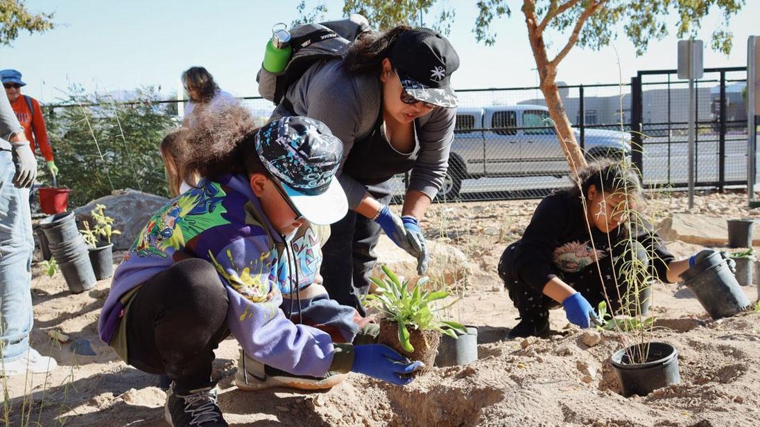 Native Habitat Maintenance at Jaycee Community Park