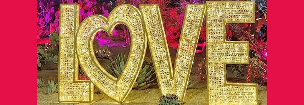 The letters LOVE lit up in a cactus garden