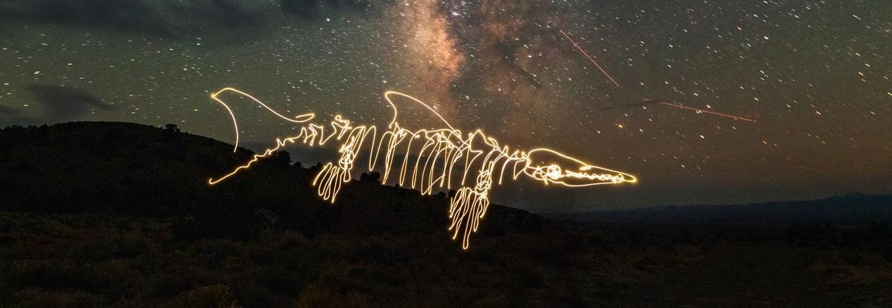 Ichthyosaur painted in light against a starry night sky and a black sloping hill