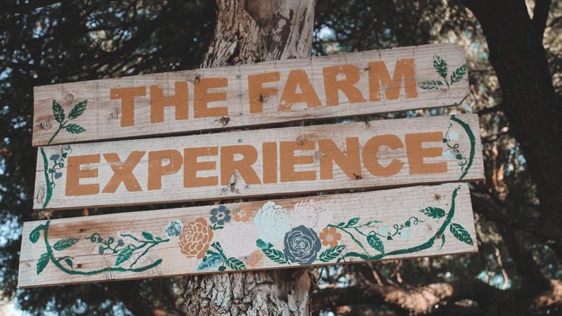 The Farm Experience