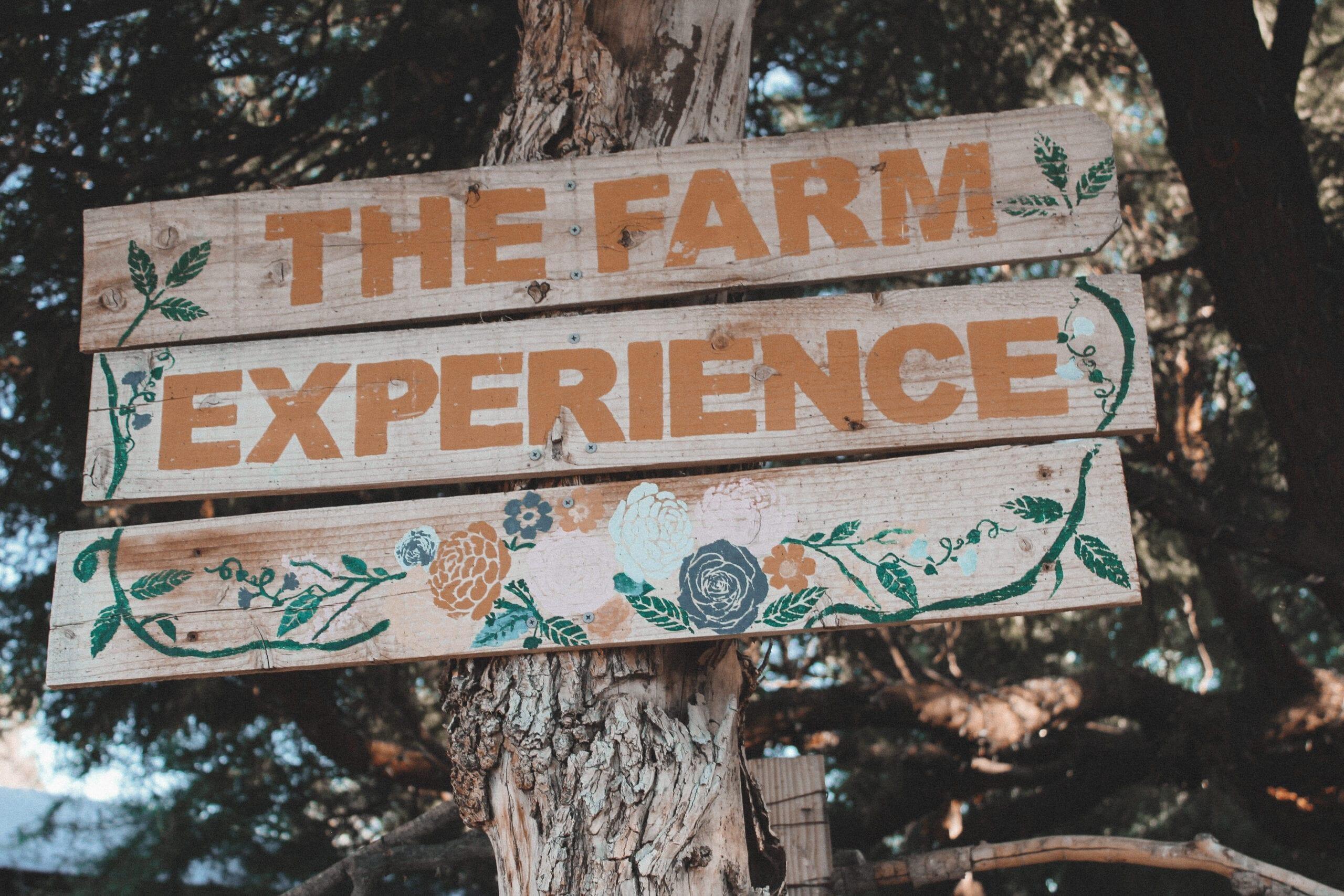 The Farm Experience