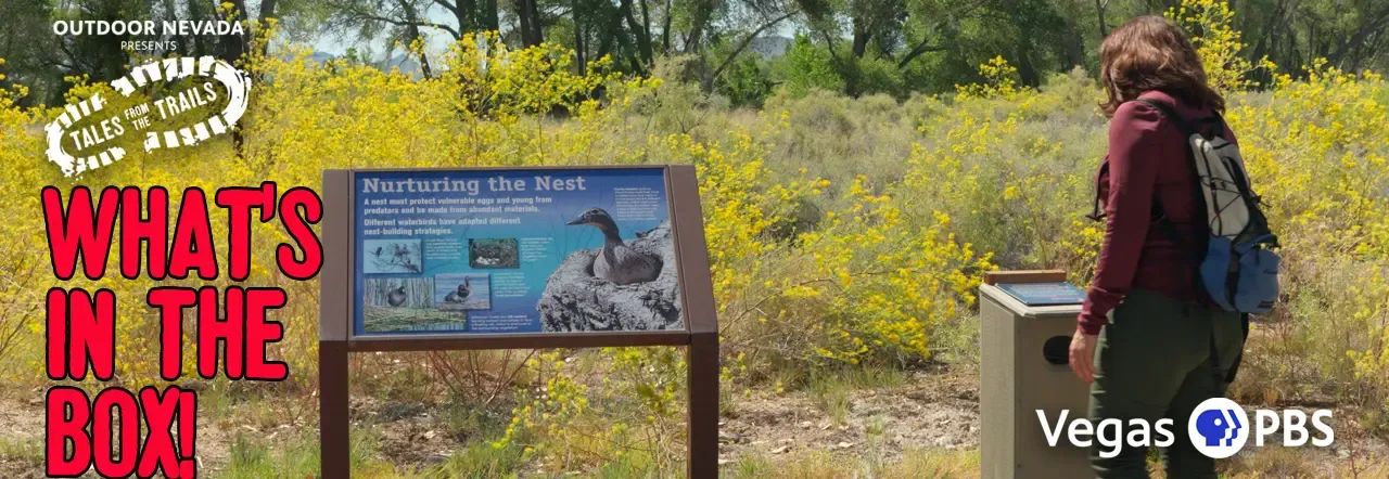 Upper Lake Trail Pahranagat National Wildlife Refuge | Tales from the Trails