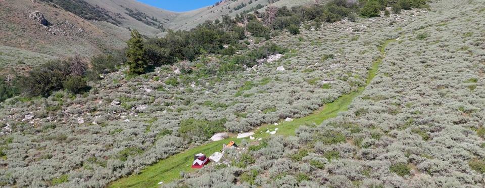 Toiyabe Crest Trail Ophir