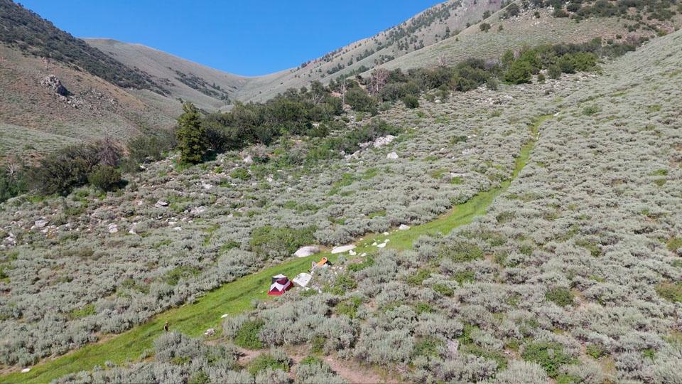 Toiyabe Crest Trail