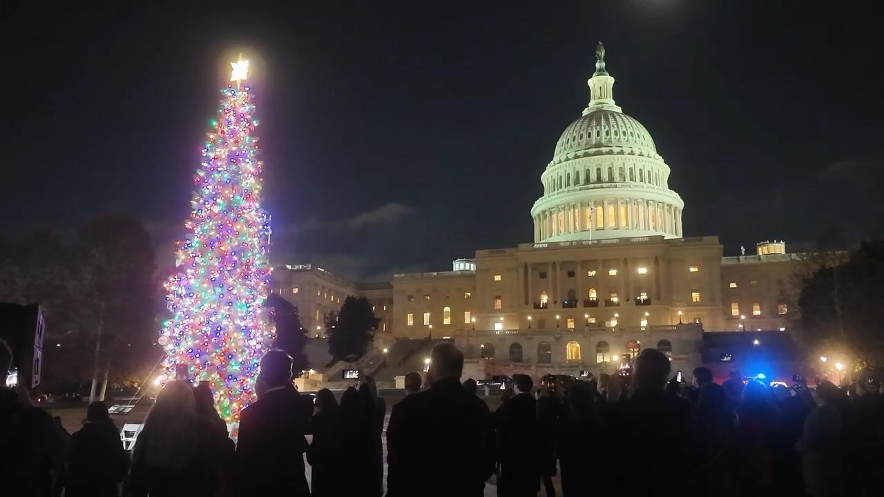 Christmas Tree lit up in front of the U.S. Capitol Building