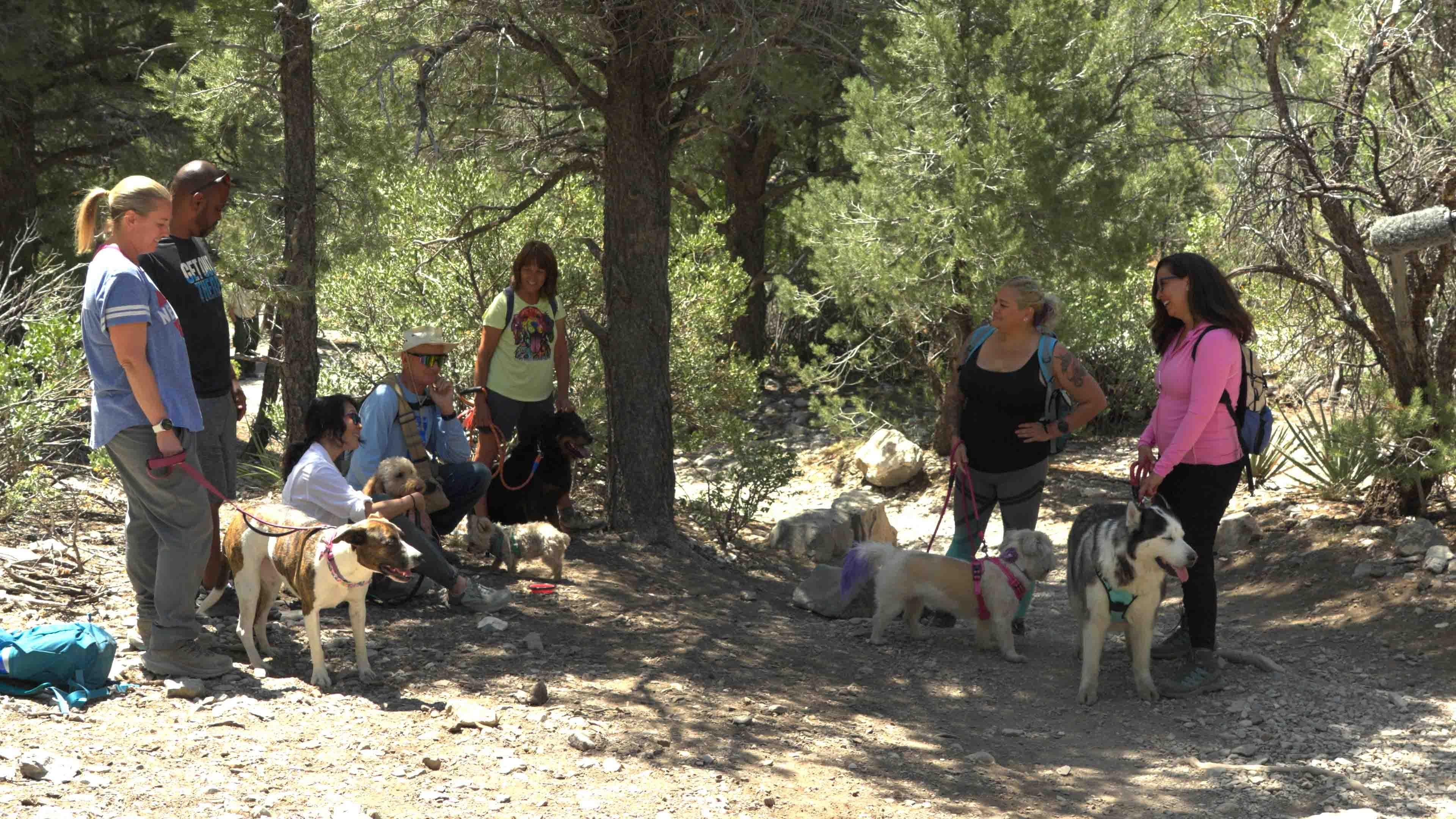 Dog-Friendly Adventure at Fletcher Canyon