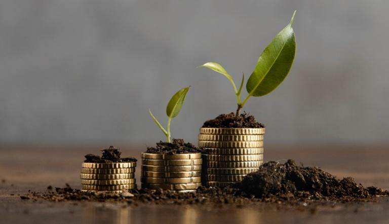 Plants growing out of stacks of gold coins