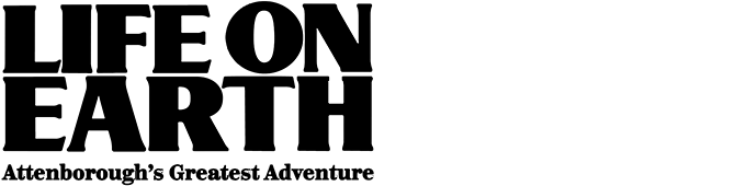 Life on Earth Attenborough's Greatest Adventure