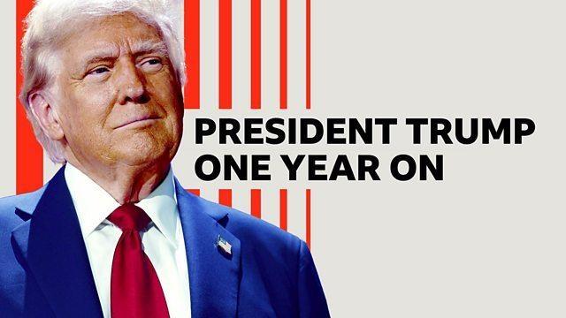 President Trump One Year On