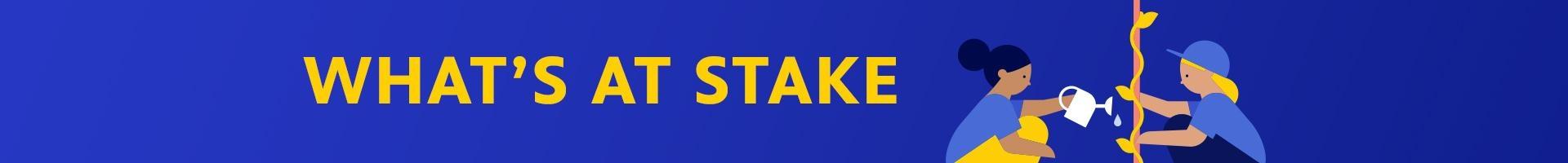 WHAT'S AT STAKE