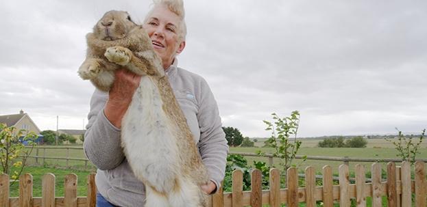 a woman holding a large rabbit