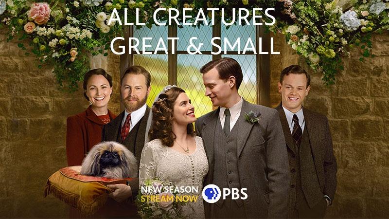 season 3 cast photo in wedding attire and holding a dog on a cushion. "All Creatures Great & Small" "New Season Stream Now" PBS logo