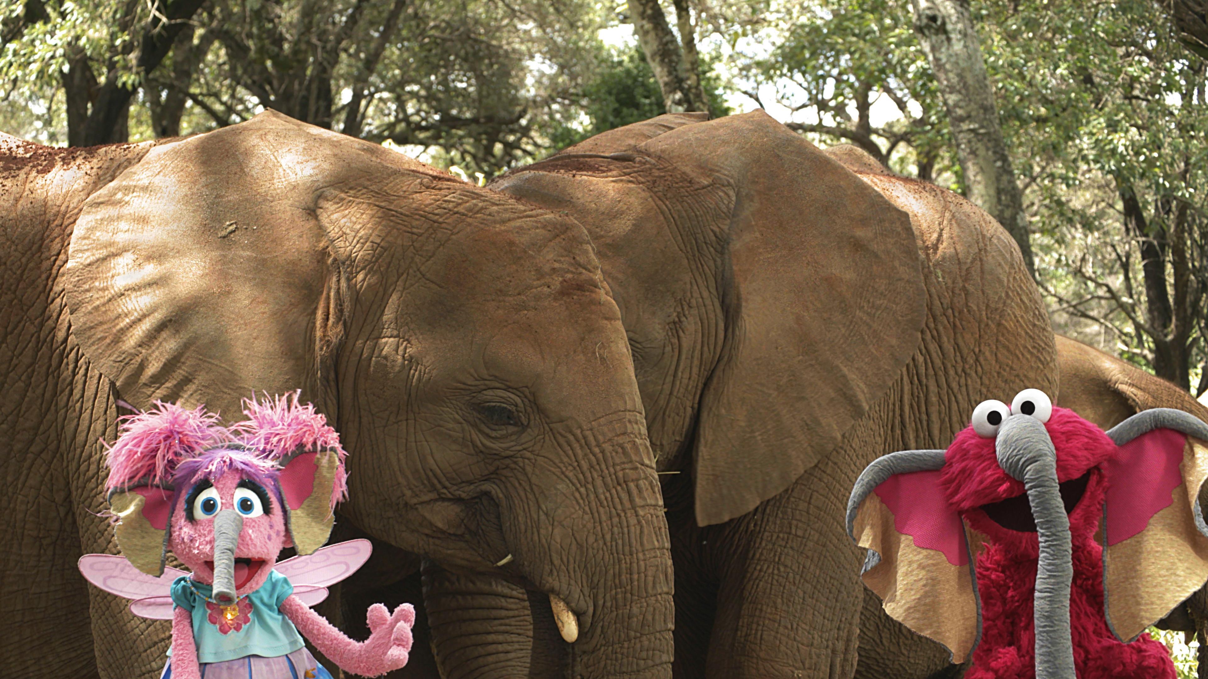 Elmo and Abby standing next to elephants with elephant ears and trunks on.