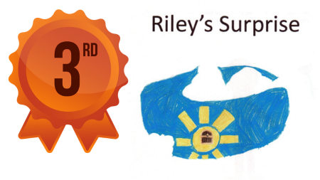 3rd Grade - 3rd Place