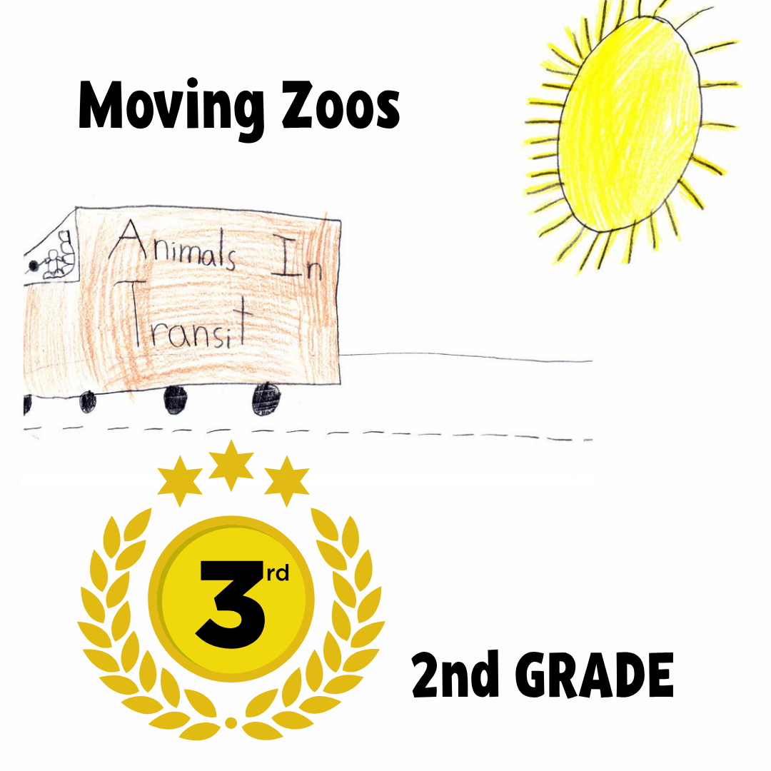 3rd Place - 2nd Grade