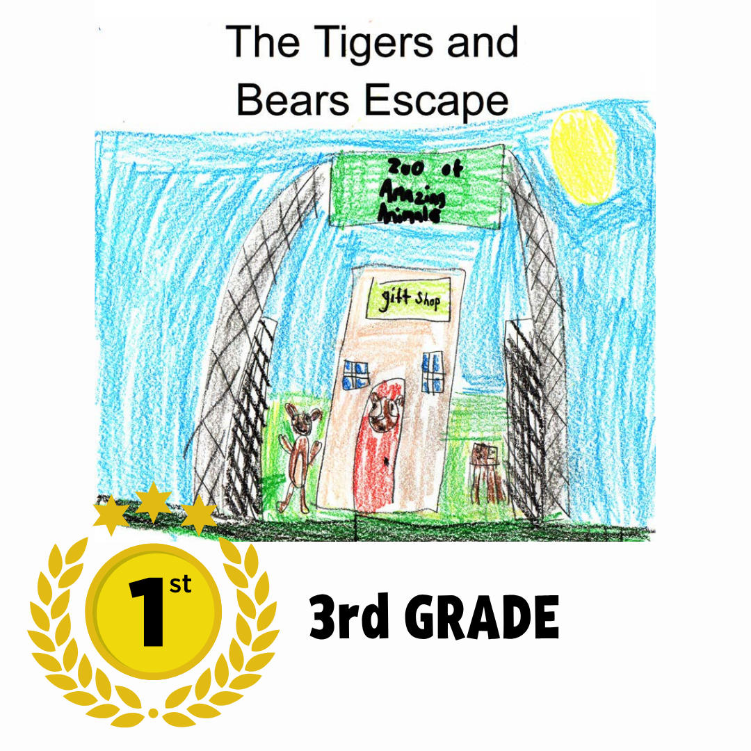 3rd Grade - 1st Place