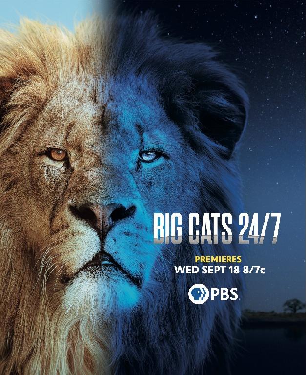 Big Cats 24/7