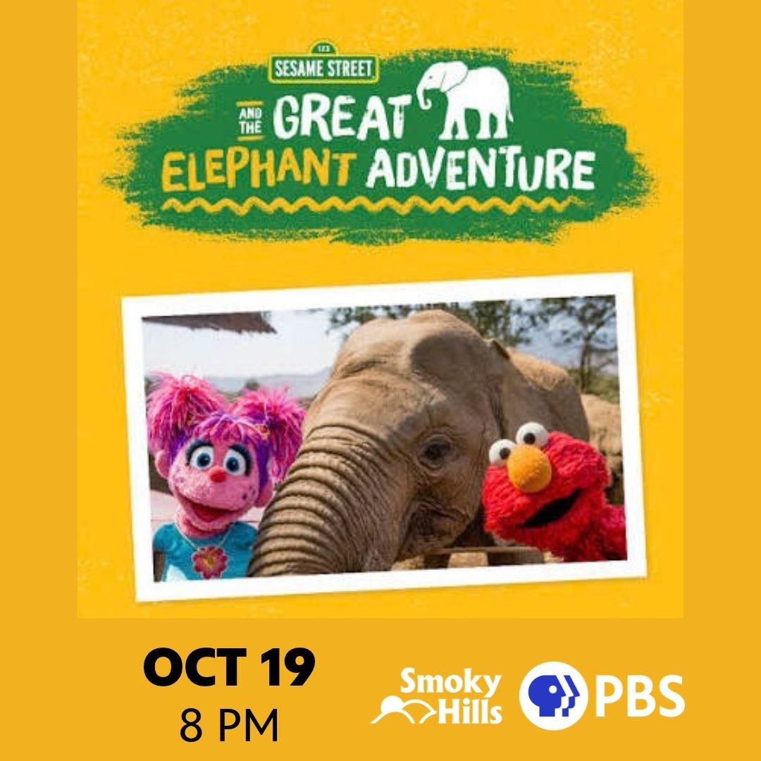 Great Elephant Adventure