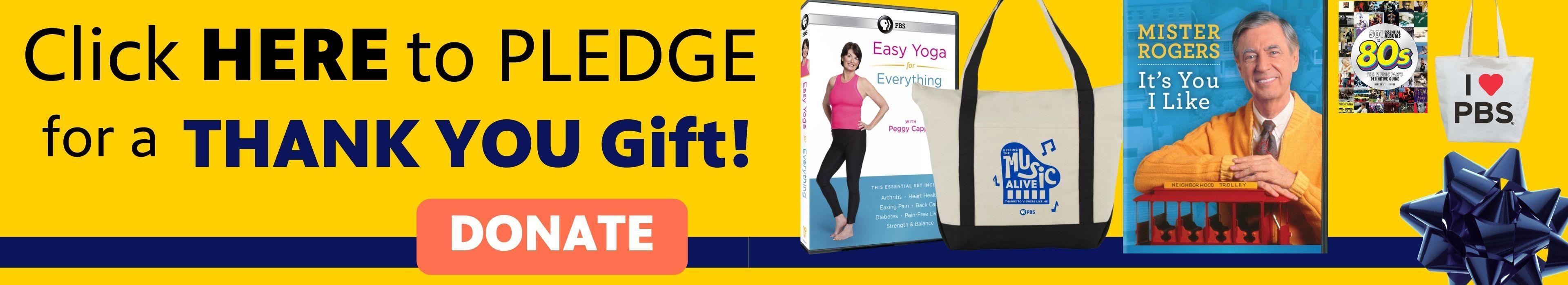 Pledge for your THANK YOU gift!