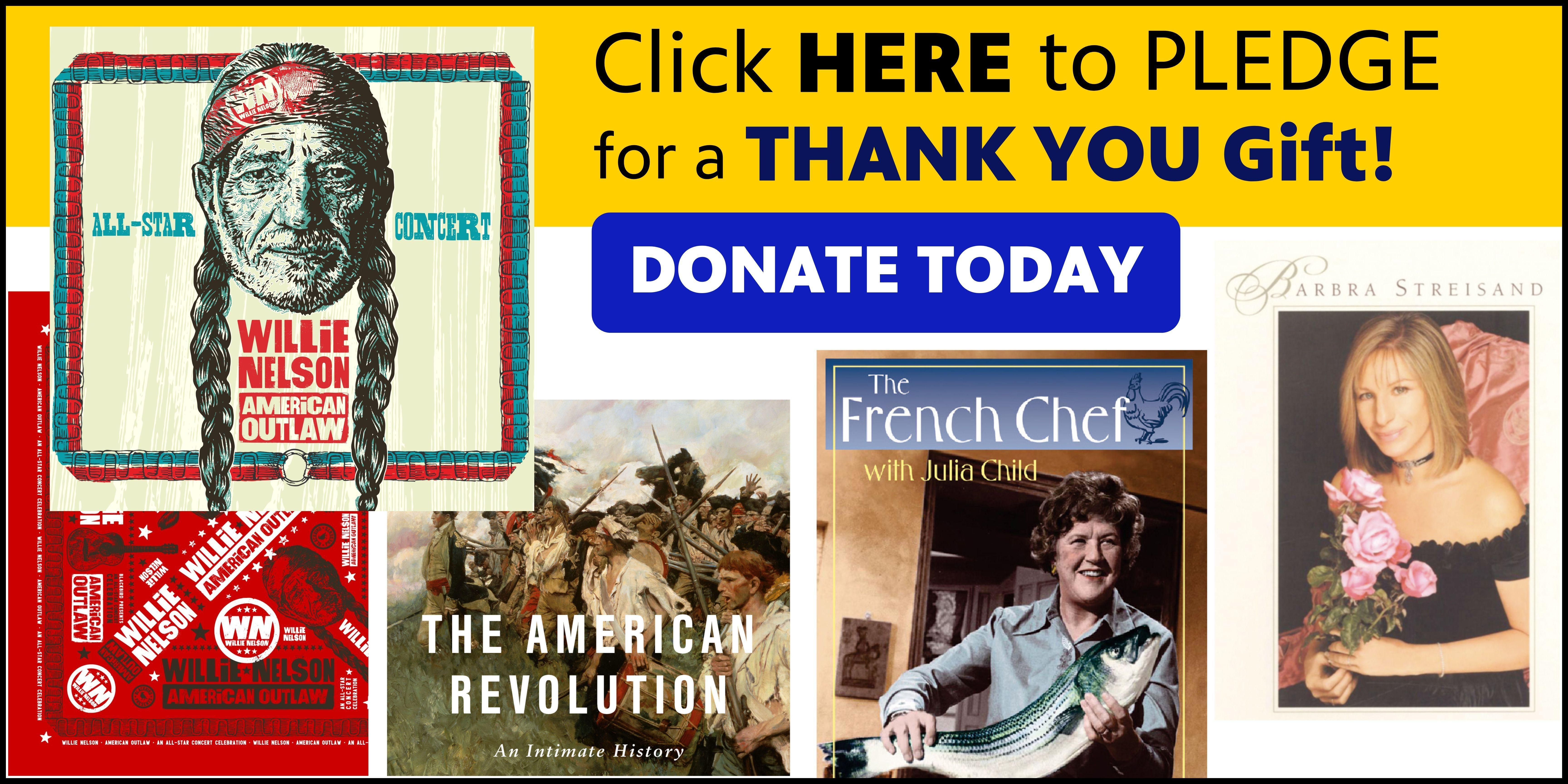 Donate to pledge for a thank you gift