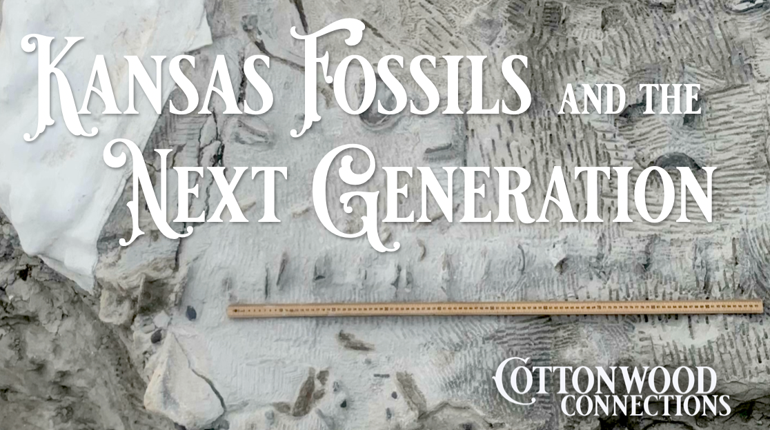 Episode 1 - KS Fossils