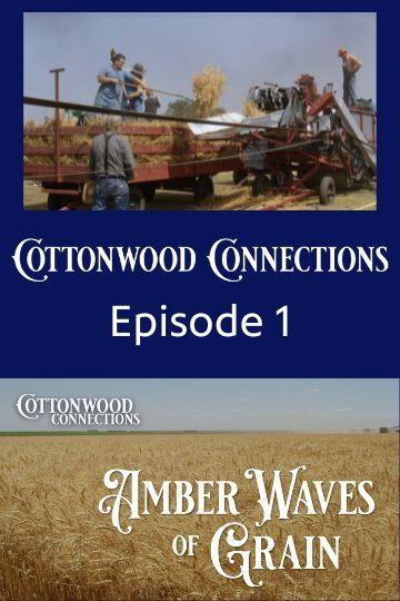 Amber Waves of Grain