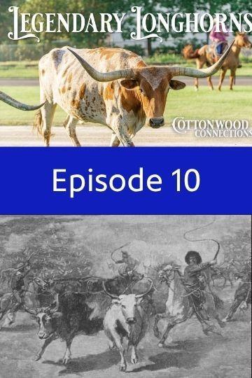 Episode 10 - Legendary Longhorns