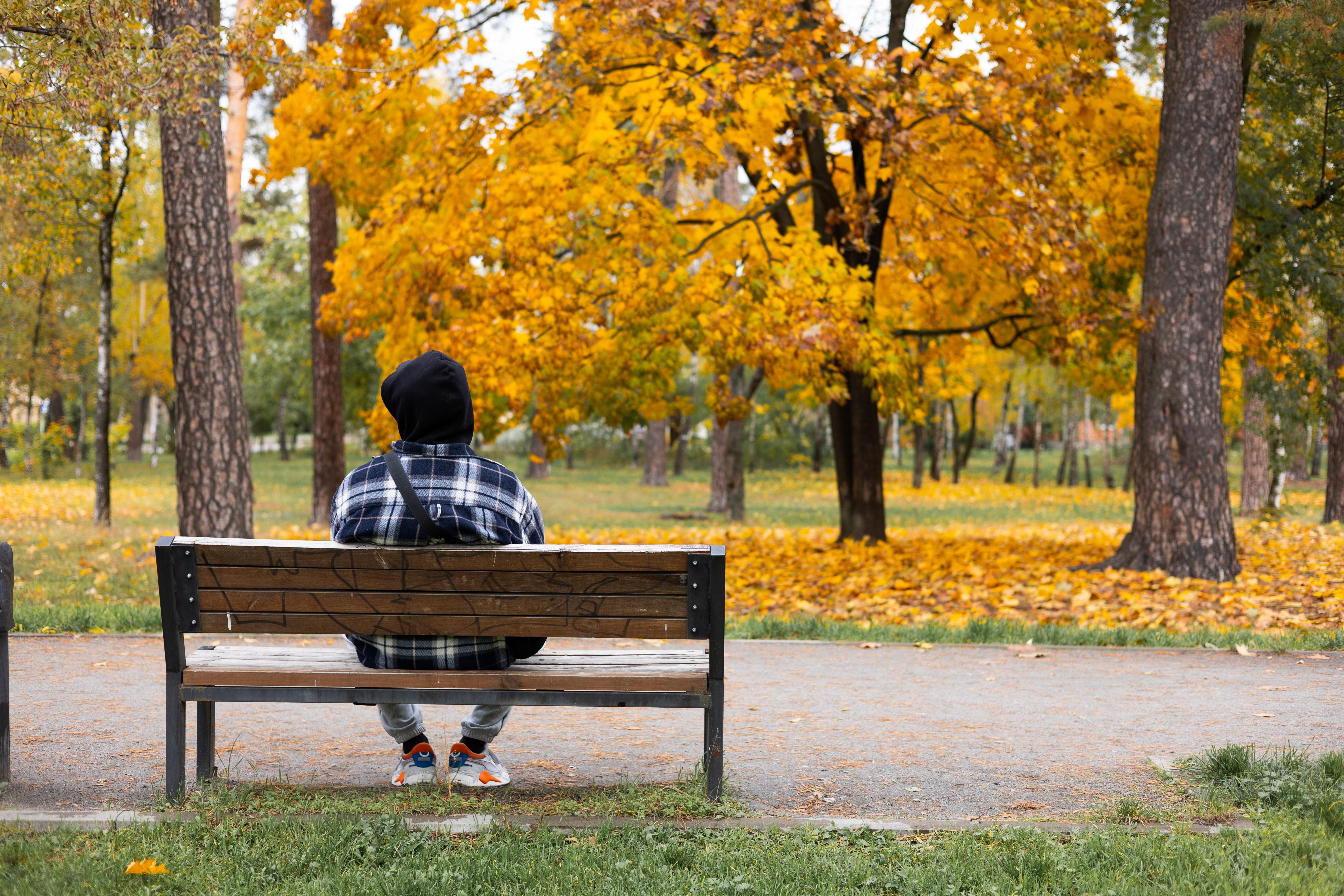Person alone on a bench
