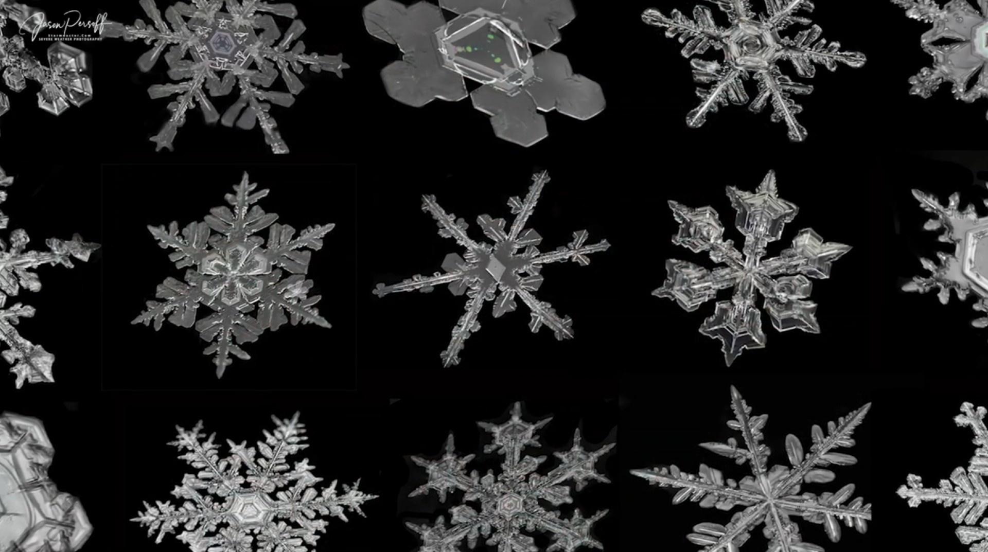 The Snowflake Photographer