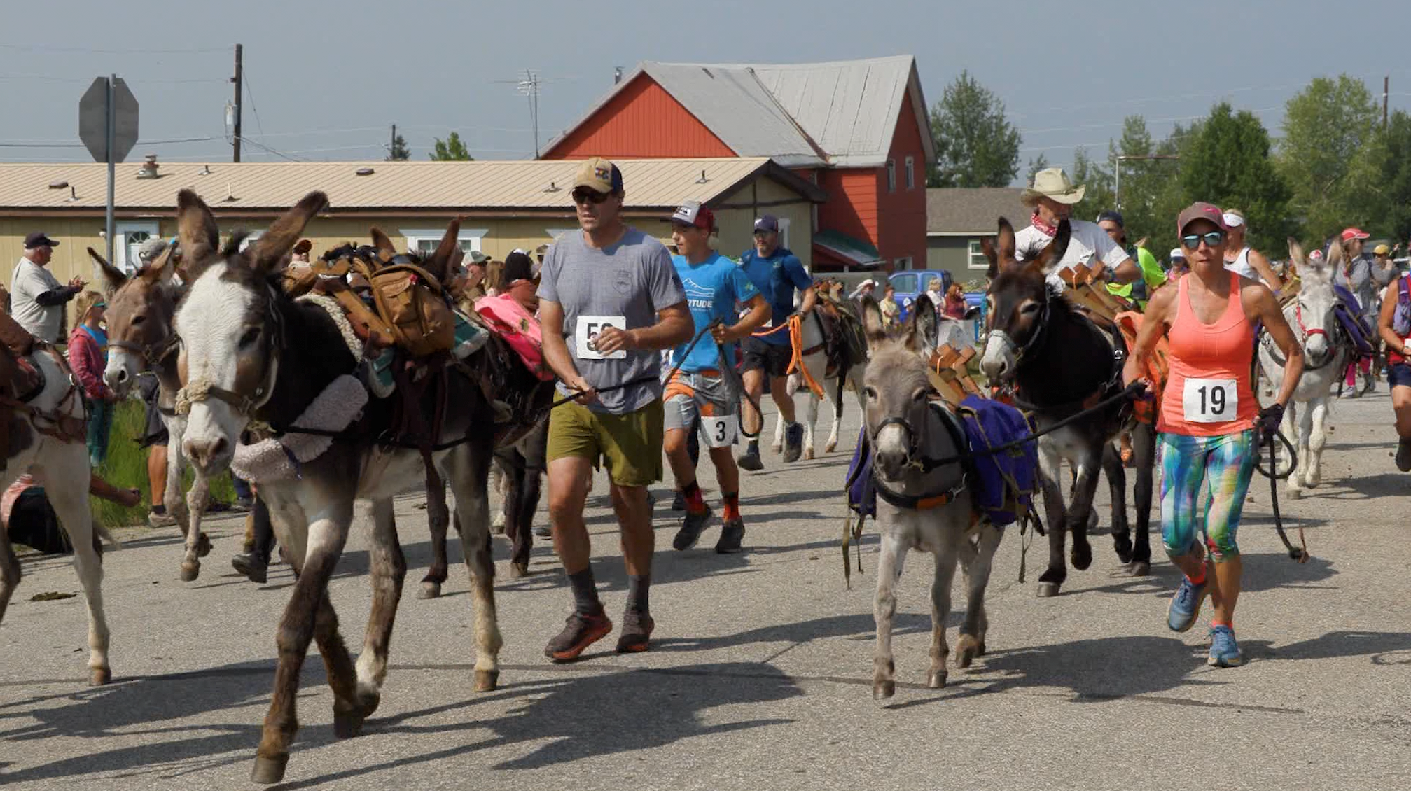 Burro racing isn't going mainstream, but it's having a Colorado moment