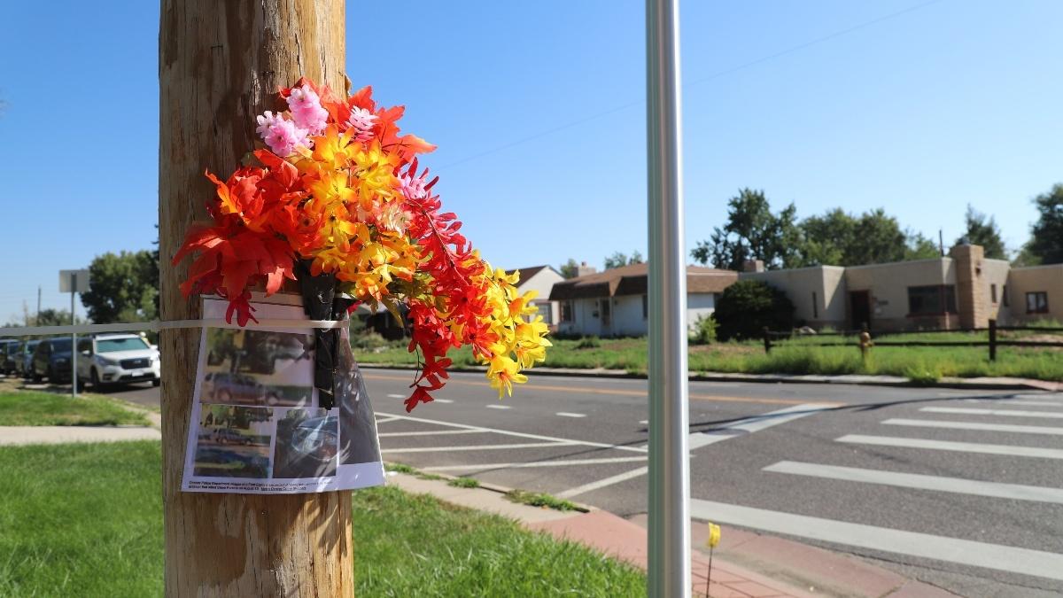 The surveillance images of the car that crashed into Steve are posted at the intersection where he was hit.