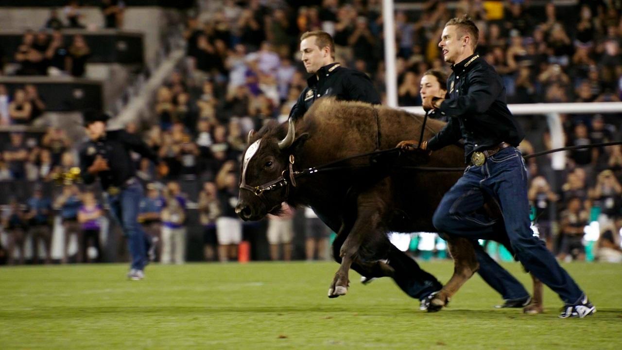 Professional Team In Buffalo, New York Changing Their Mascot