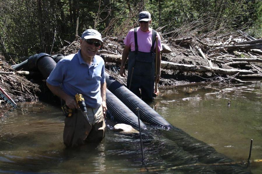 Beaver deceiver team helps humans ‘coexist happily’ with Colorado’s ...