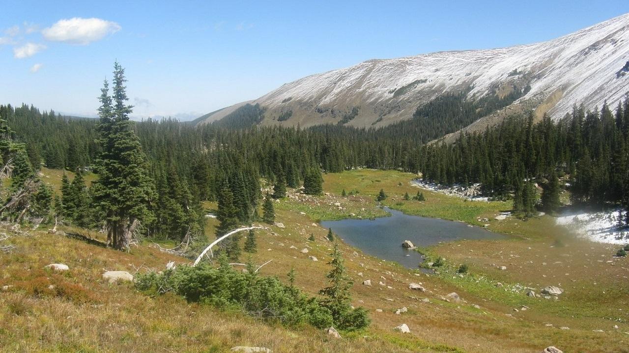 South Boulder Creek in Moffat County almost to Rogers Pass.